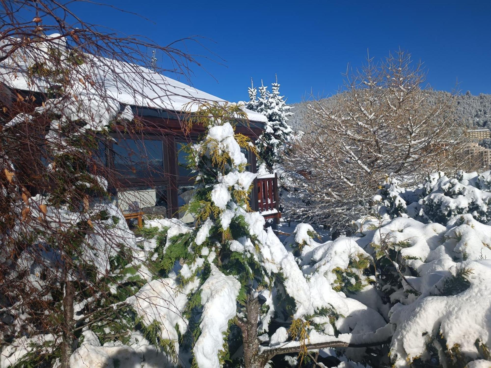 לס אנגל Chalet Pres Des Pistes Avec Vue Panoramique מראה חיצוני תמונה